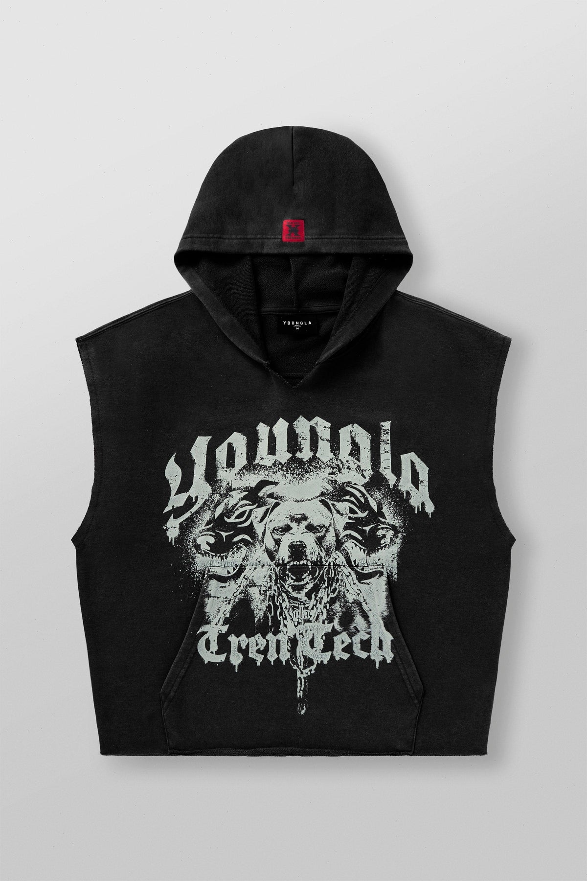 5071 - Tren Twins This Makes Ur Arms Look Huge Hoodies